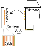 Thermal head usually has connectors on cartridge mating with carriage