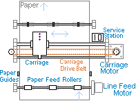 Basic Layout. Page driven by Line Feed Rollers. Carriage scan page.