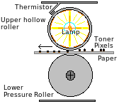 Hot roller fuser - cross-section